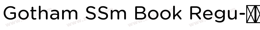 Gotham SSm Book Regu字体转换